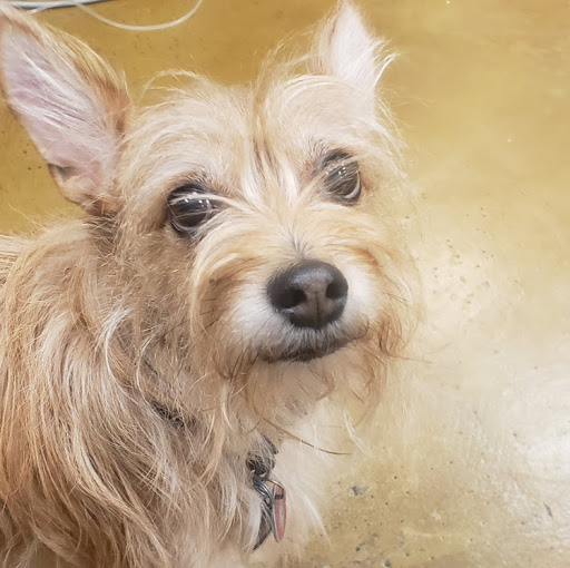 Julia Cameron Photo 7