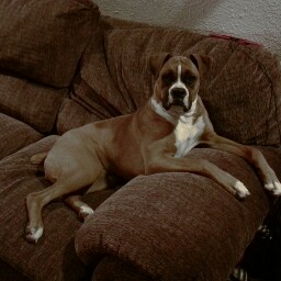 Steven Isaacs Photo 9