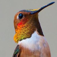 Cindy Fenton Photo 27