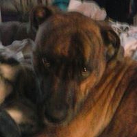 Shelly Stuart Photo 4