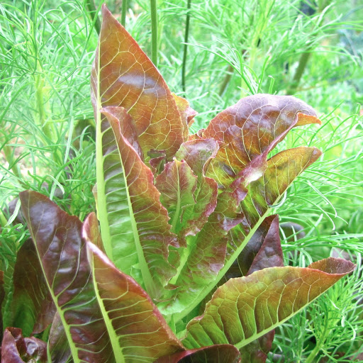 Becky Howell Photo 7