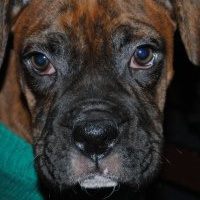 Nathaniel Stewart Photo 14