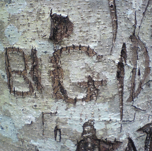 Daryl Simpson Photo 26 Daryl Simpson Photo 26