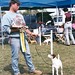 Wayne Tucker Photo 38