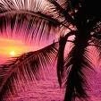 Saurabh Singh Photo 29