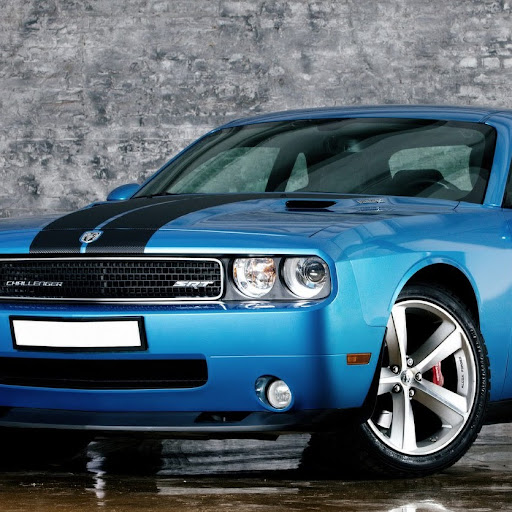 Mike Stevenson Photo 34