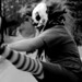 Michael Ring Photo 26