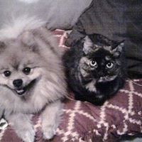 Myra Johnson Photo 10