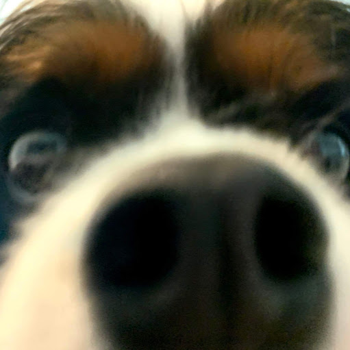 Joseph Winters Photo 35