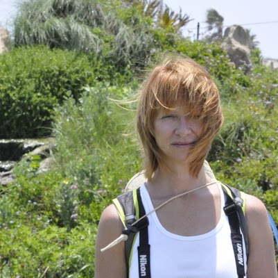 Cathy Harrington Photo 28