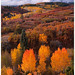 Dawn Ridgway Photo 10