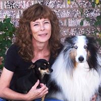 Cindy Tracy Photo 21