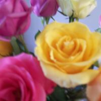 Marie Welch Photo 38
