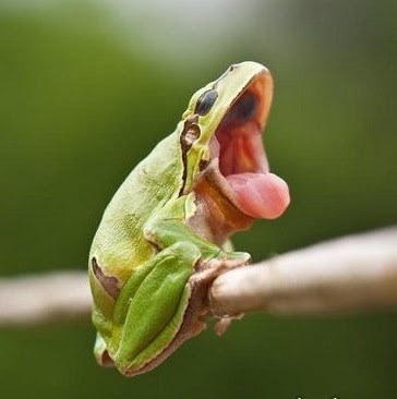 Daniel Conaway Photo 6