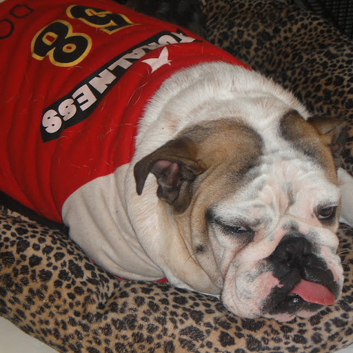 George Hsu Photo 45 George Hsu Photo 45