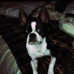 Cheryl Jeffries Photo 28