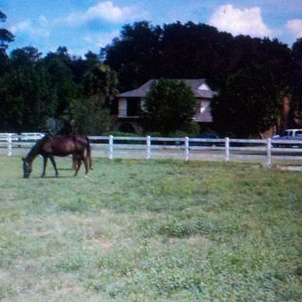 Donald Roberson Photo 18