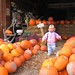 Julia Mills Photo 28