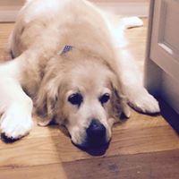 Kathleen Sargent Photo 9