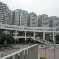 Thomas Cheung Photo 8