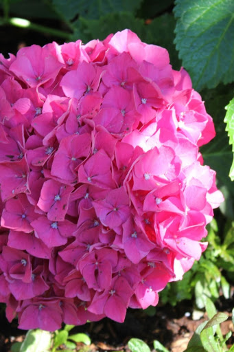 Renee Sandoval Photo 29