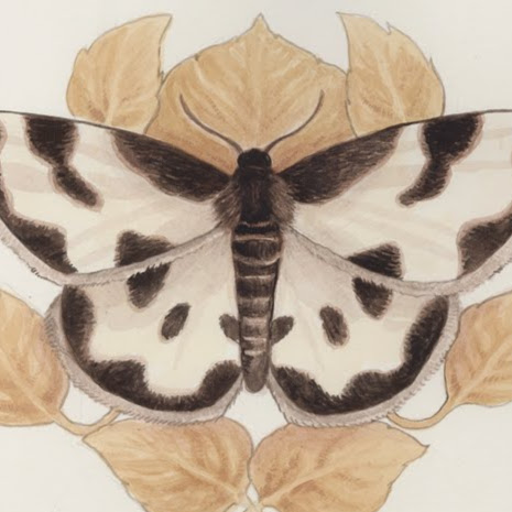 Jill Hoffman Photo 43 Jill Hoffman Photo 43