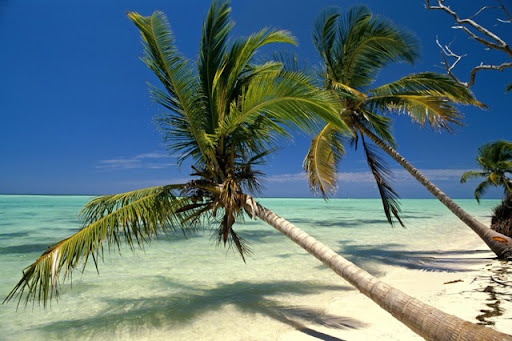 Tracy Albert Photo 8