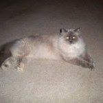 Carol Blachly Photo 1