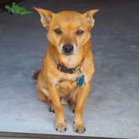 Chris Grogan Photo 22