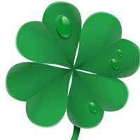 Denis Mcbride Photo 19 Denis Mcbride Photo 19