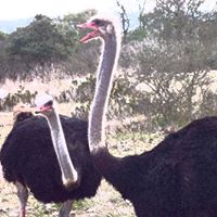 Leigh Wolfe Photo 25