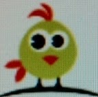 Tracy Harrington Photo 10