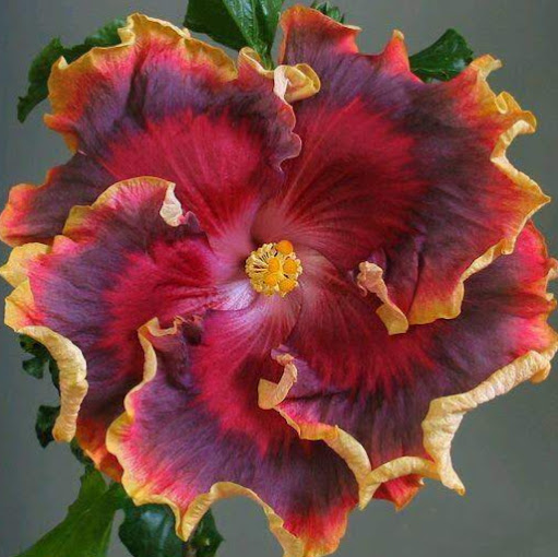 Cathy Rivers Photo 2