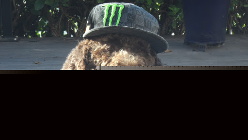 Bradley Stevens Photo 26