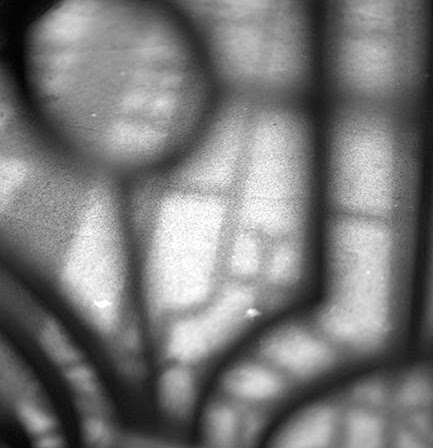 Samantha Cunningham Photo 15