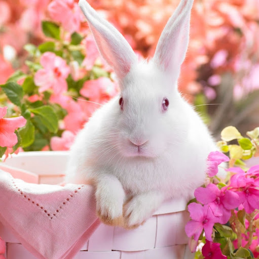 Cheryl Pierce Photo 32