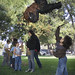 Stephen Duran Photo 42