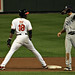 Robert Nieman Photo 12