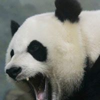 Antonio Cisneros Photo 22