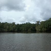 Laurie Mcdaniel Photo 14