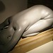 Wei Liu Photo 29