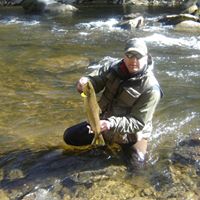 Dan Farnsworth Photo 13