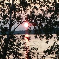 Colleen Knoll Photo 8