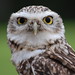 Tracy Bird Photo 17