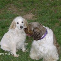 Nancy Grant Photo 4