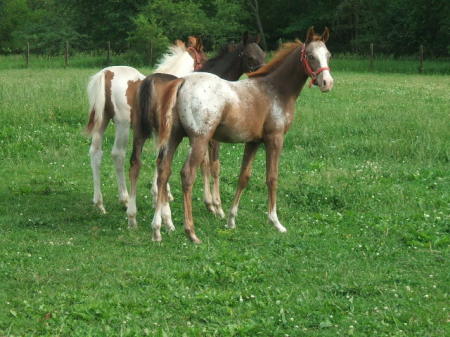 Ellen Gaines Photo 13