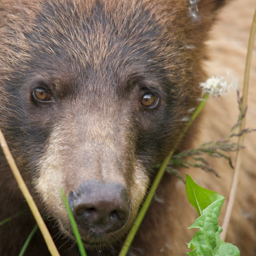 Tom Skinner Photo 49