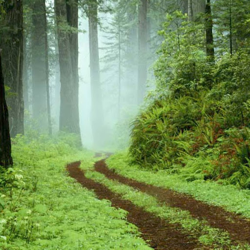 Jerry Hicks Photo 38