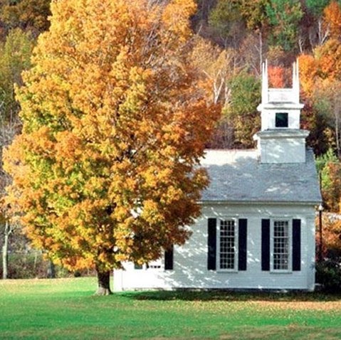 Steve Faulkner Photo 43