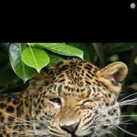 Teresa Villalobos Photo 31